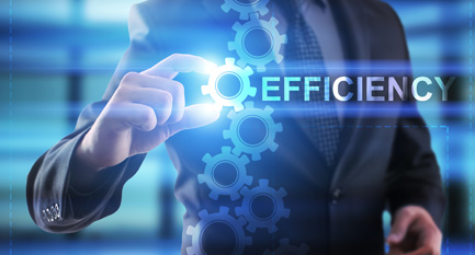 Driving Efficiency in IT Enabled Services  Case Study